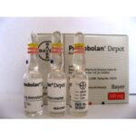Primobolan Depot 100mg (Anabolizan) - Image 2
