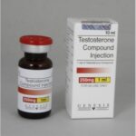 Testosterone compound (Sustanon 250), 2500 mg / 10 ml by Genesis - Image 2
